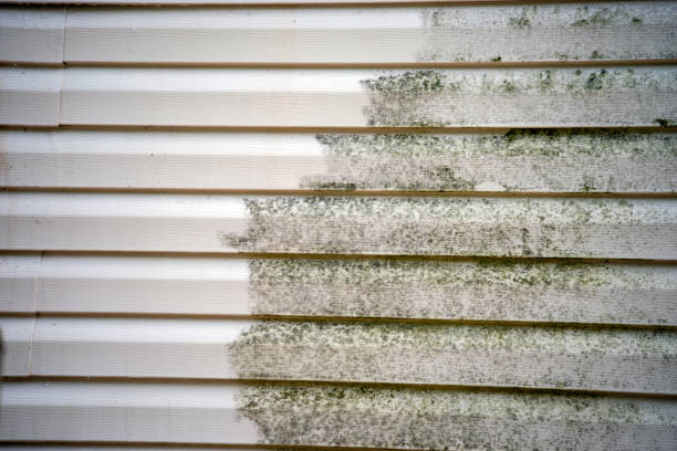 Best Fiber Cement Siding Installation  in Una, WA