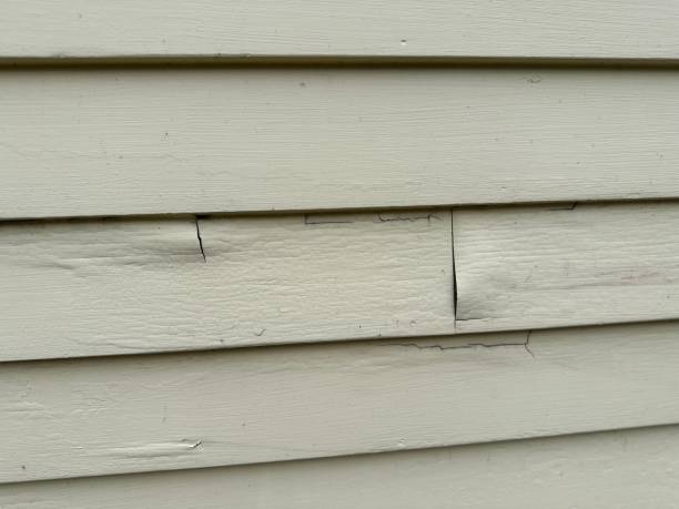 Best Residential Vinyl Siding Installation  in Una, WA