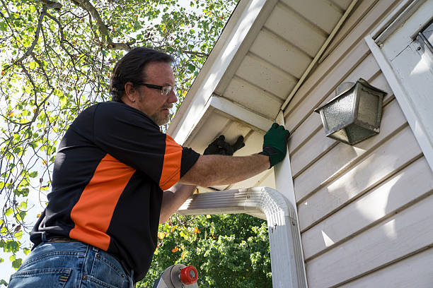 Affordable siding repair and maintenance services in Wauna, WA